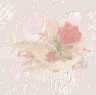 Small Wedding
