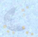 Parchment Moon